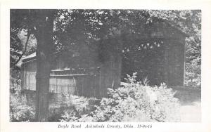 D52/ Ohio Covered Bridge Postcard c1950s Ashtabula County Doyle Road 10