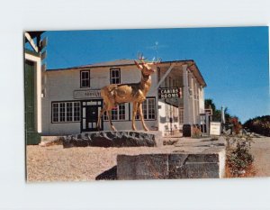 Postcard Jacob's Ladder Summit House & Deer Monument, Becket, Massachusetts