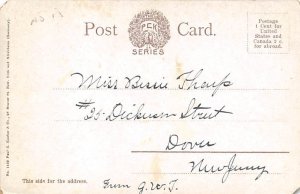 Two horses and birds Horse Writing on Back 