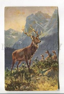 485271 Deer HUNT Mountain by MULLER Vintage postcard