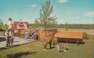 Canada Young Elk and English Spotted Deer The Children's Zoo Storyland Valley...