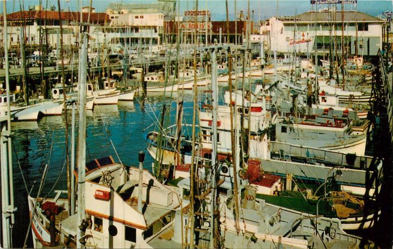 Postcard San Francisco CA California Fisherman's Wharf Fishing Fleet Alioto's