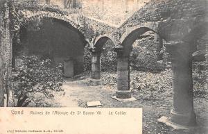 BR55087 Ruines de l abbaye de St Bavon le cellier Gand belgium