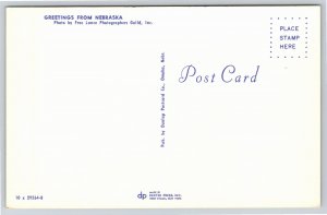 Farming~Corn Field Greeting From Nebraska~Vintage Postcard