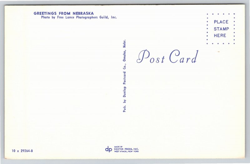 Farming~Corn Field Greeting From Nebraska~Vintage Postcard