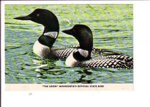 The Loon, Minnesota's Official State Bird