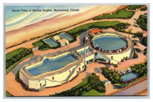 Vintage 1940's Amusement Park Postcard Marine Studios Marineland Florida