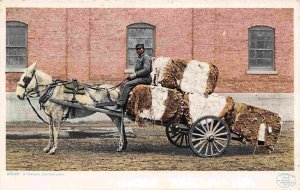 Cotton Wagon African American Driver Southern States 1910c Phostint postcard