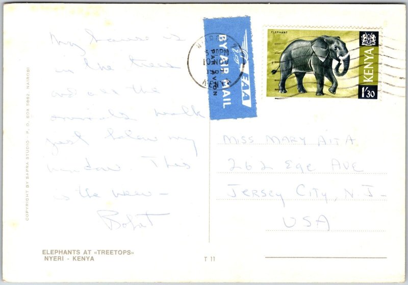 1989 Elephants at Treetops Nyeri Kenya Posted Postcard 