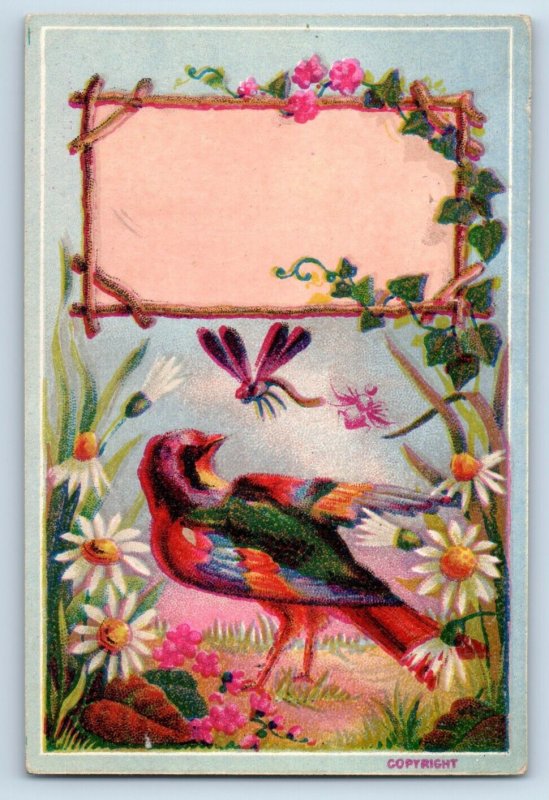 1880s Victorian Trade Cards Wild Birds Insects Dragonfly Set Of 4 P198