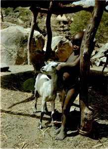 Mokolo, Nord Cameroun, Petite Mafa, DJINGLIYA, goat,  Postcard