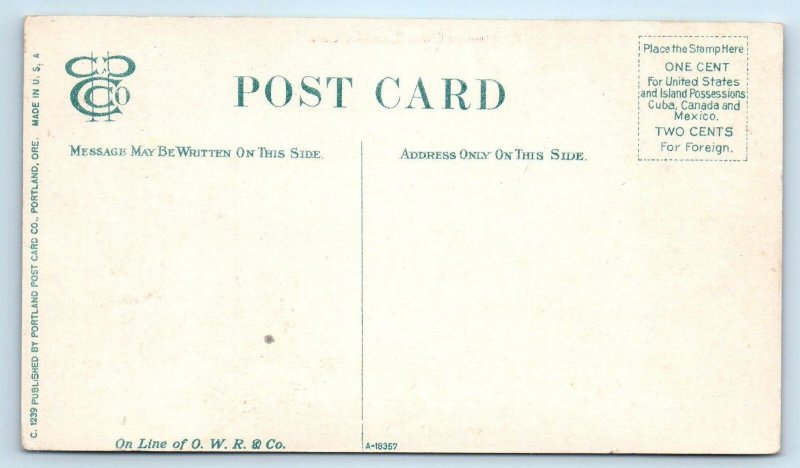 GREETINGS from LOOMIS, CA California   FRUIT ORCHARD Scene  c1910s  Postcard