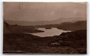 1930s LAKE ELSI NORTH WALES SHEEP LANDSCAPE PHOTO RPPC POSTCARD P1628
