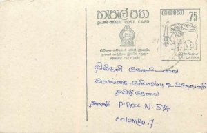 Entier Postal Stationery Postal Sri Lanka Ceylon Lion