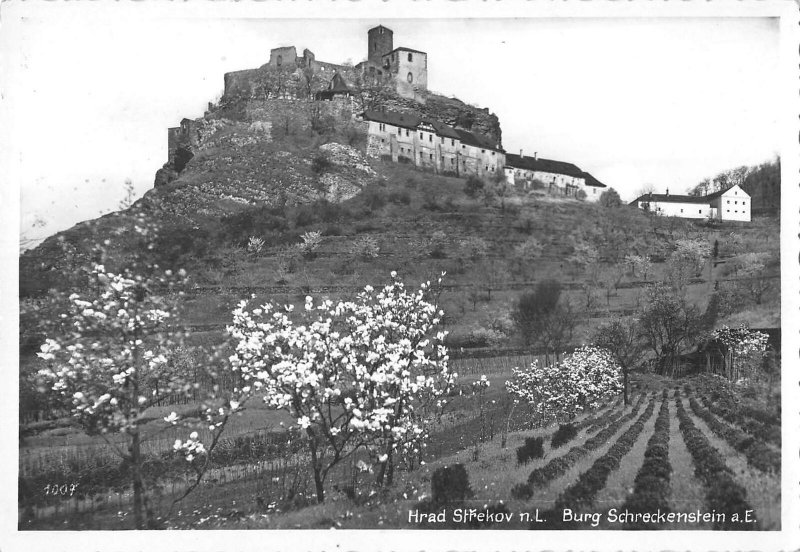 US4160 Czech Republic Hrad Strekov n. L. Burg Schreckenstein Castle