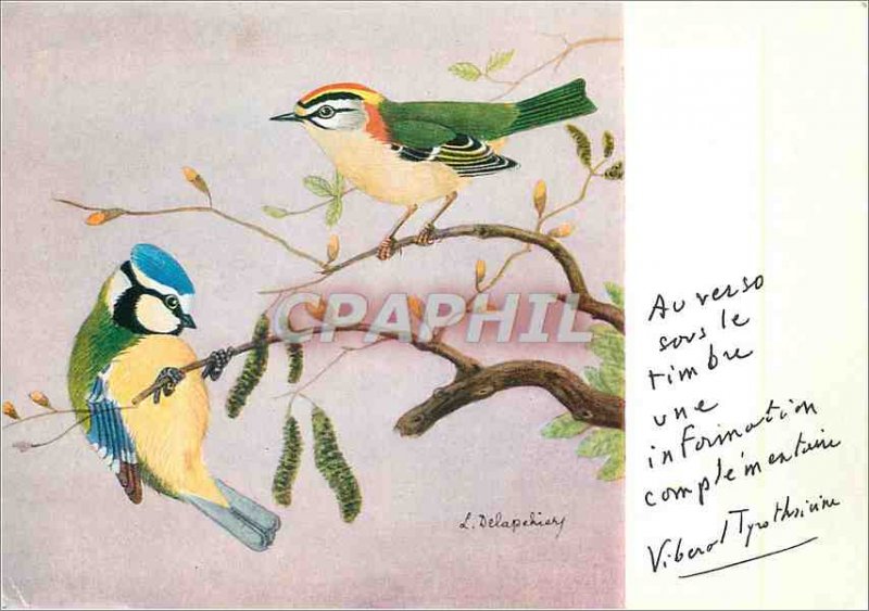 Postcard Modern Birds
