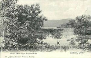 CT, Winsted, Connecticut, Sucker Brook Cove, Art Store Postals No. 793