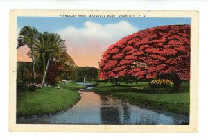 HI - Honolulu. Moanalua Park, Poinciana Tree   (tear)