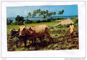Farming, Fiji, Pu-1956