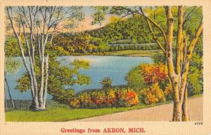 Akron Michigan Scenic Waterfront Greeting Antique Postcard K85475