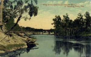 Suwannee River Dowling Park FL Missing Stamp postal used 1909