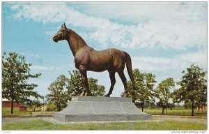 Man-o-War, The Wonder Horse, LEXINGTON, Kentucky, 40-60's