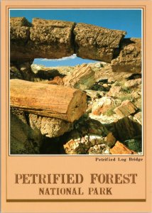 Postcard AZ Petrified Forest National Park Petrified Log Bridge in Blue Mesa