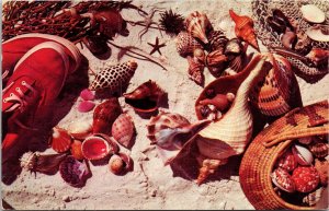 Shell Collectors Rainbow Beach Sea Shells Postcard PM Fort Myers FL Cancel WOB 