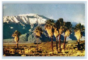 1940's Coachella Valley San Jacinto California Vintage Postcard F52