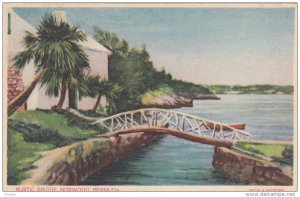 NORWOOD, Bermuda, 1900-1910's; Rustic Bridge