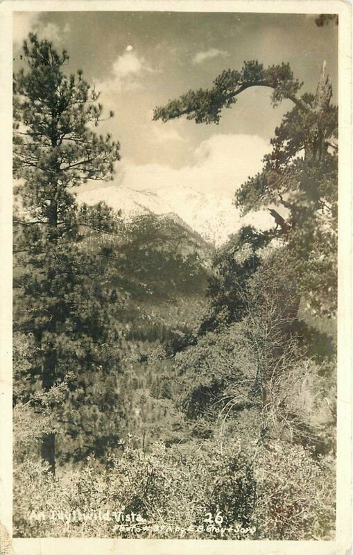 Gray & sons #26 Idyllwild Riverside California 1940s Postcard 11998