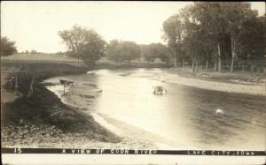 Lake City IA Cows in Coon River c1910 Real Photo Postcard