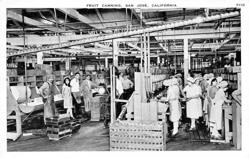 Fruit Canning SAN JOSE, CA Factory Workers c1920s Vintage Postcard