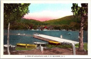 View of Mountain Lake, P.O. Belvidere NJ Vintage Postcard O60