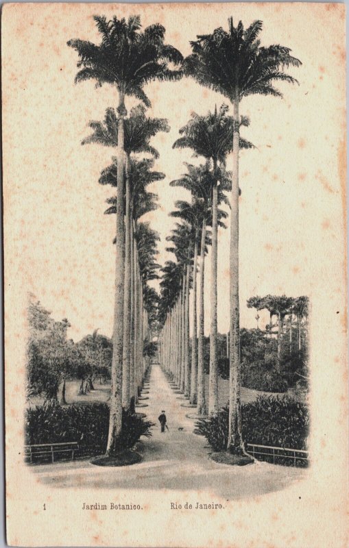 Brazil Rio De Janeiro Jardim Botanico Vintage Postcard C133