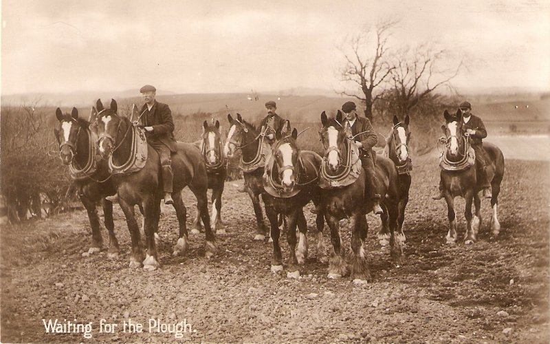 Heavy horses. Waiting for the Plough Old vijntage English postcard