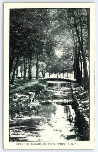 Sulphur Brook Clifton Springs New York NY Tourist Attraction View RPPC Postcard