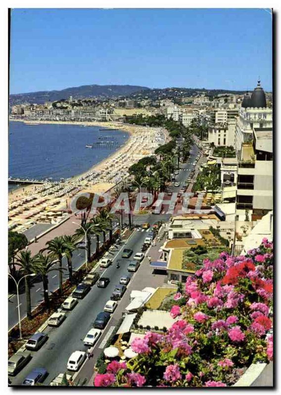 Postcard Modern French Riviera French Riviera Maritime Alps Cannes Croisette ...