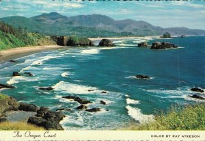 USA The Oregon Coast Ray Atkeson Vintage Postcard BS.06