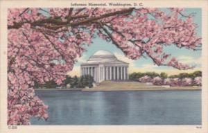 Washington D C Jefferson Memorial and Cherry Blossoms 1954