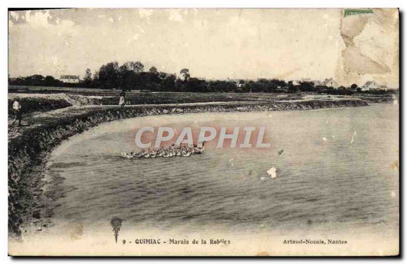 Old Postcard Quimiac Marshes of Roblire Geese