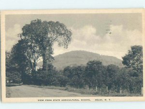 1930's NATURE SCENE Delhi - Near Oneonta New York NY AD5550