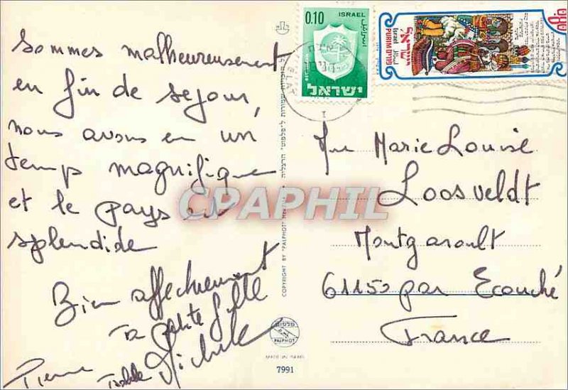 Postcard Modern Fish