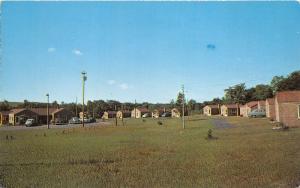 Manistee Michigan~Sauble River Motor Court on US Route 31~50s Cars~Postcard
