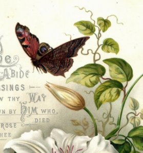 1880s Raphael Tuck Easter Card Poem Butterfly Moth Lily Fab! #6E