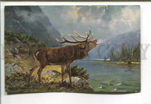 485584 Deer hunting by MULLER Vintage postcard