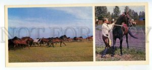 484632 1979 Khakassia herd horses state farm Novomikhailovsky Abakan Hippodrome