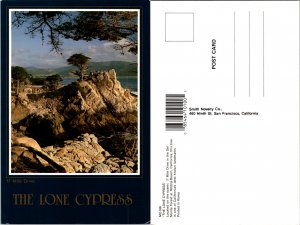 The Lone Cypress, Calif. (11276