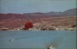 Parker Arizona AZ Marine Park Watersports Parachute 1950s-60s Vintage Postcard