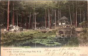 Crowds Listening to Concert at Sacandaga Park NY c1906 Vintage Postcard R52